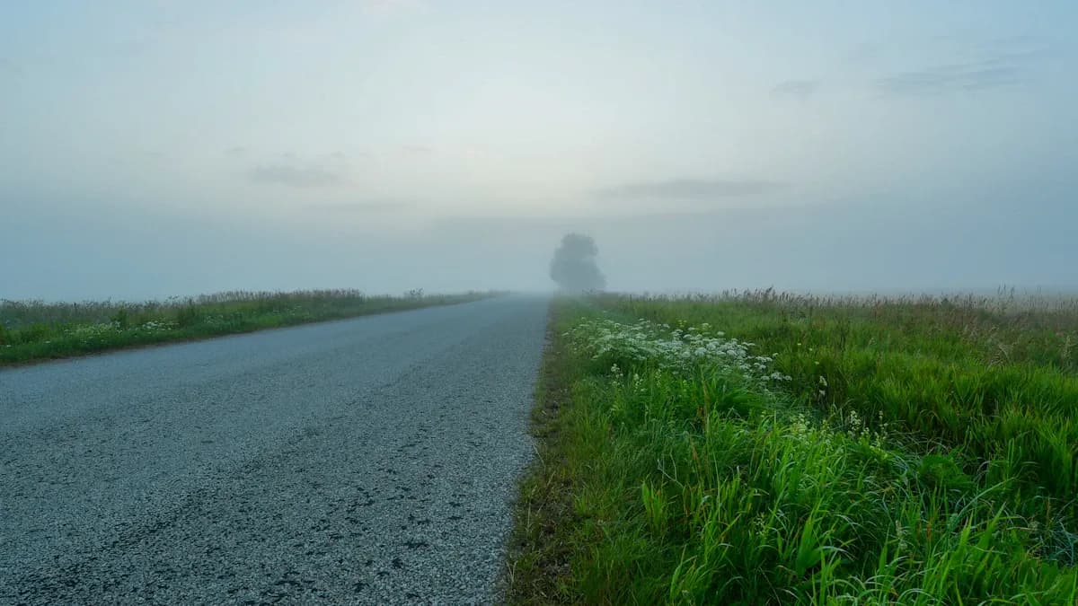 A gravel road through a foggy field at dawn